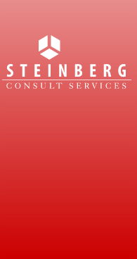 logo steinberg consulting